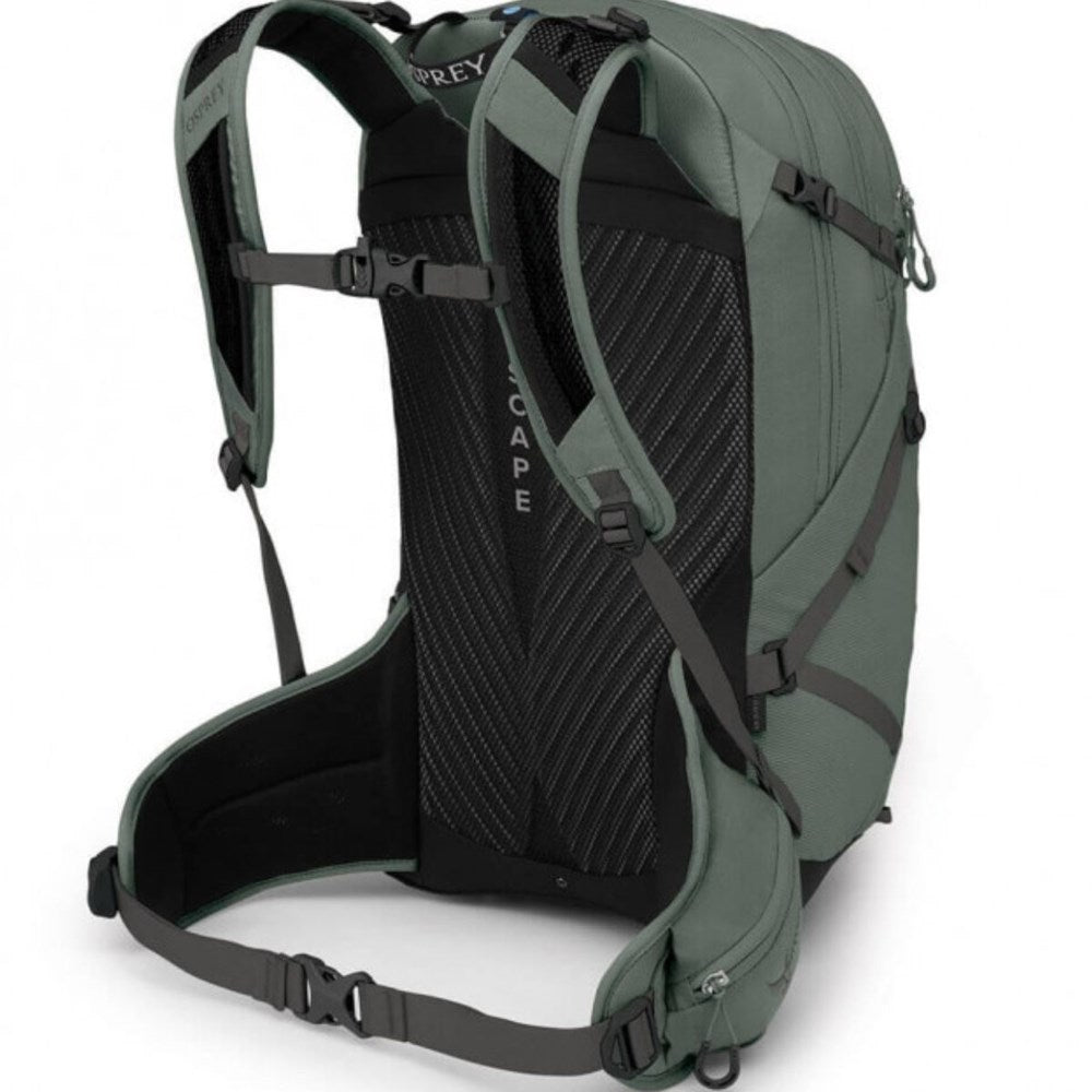 Osprey Sportlite 25 Backpack - M/L - Pine Leaf Green Osprey