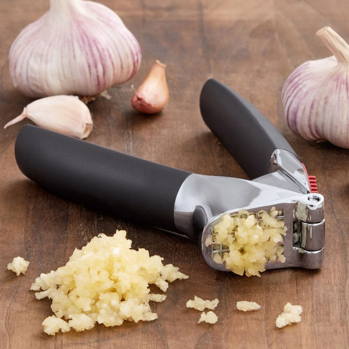 OXO Good Grips Die Cast Garlic Press with Built in Cleaner