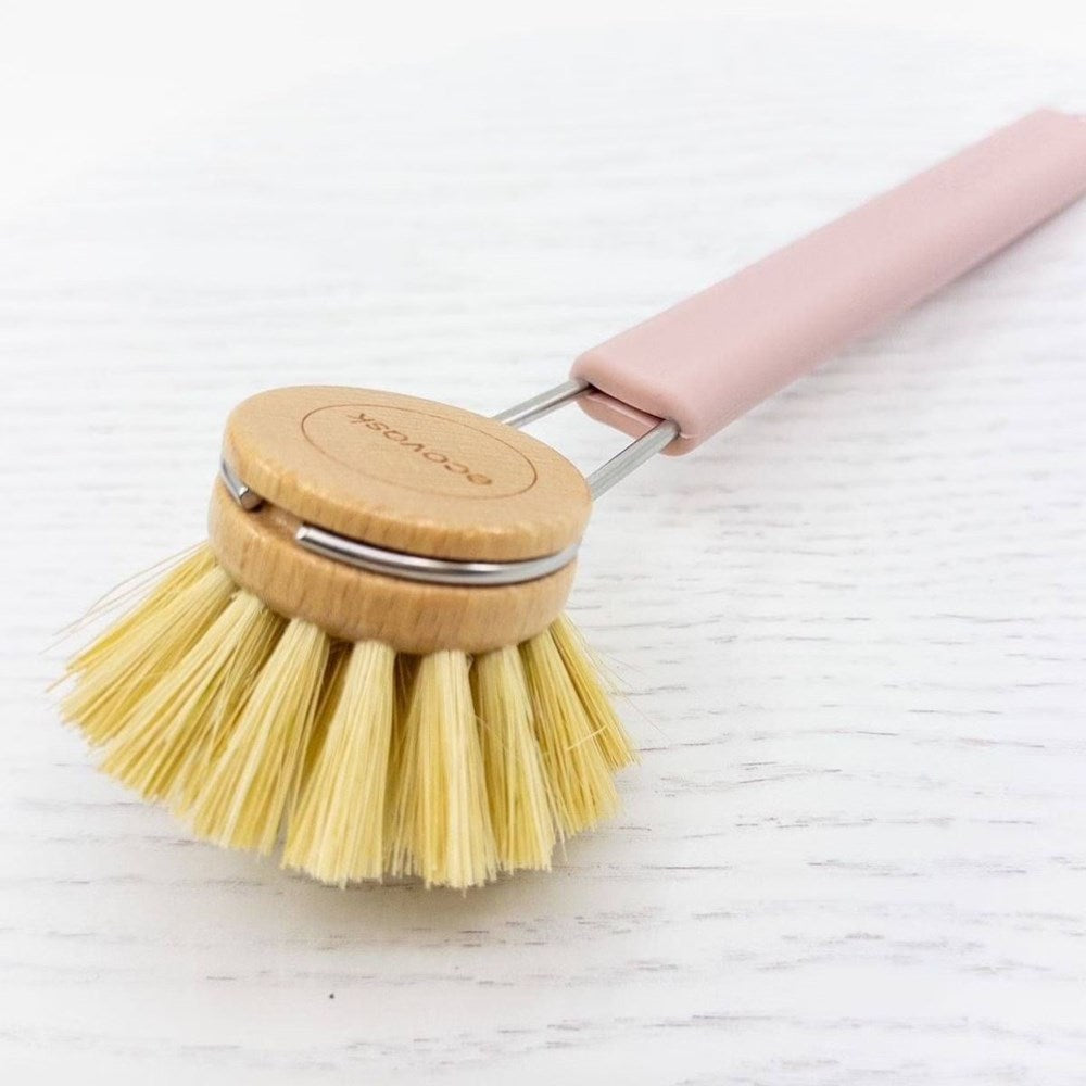 Ecovask Dish Brush with Tampico Brush Head - 3 Colours