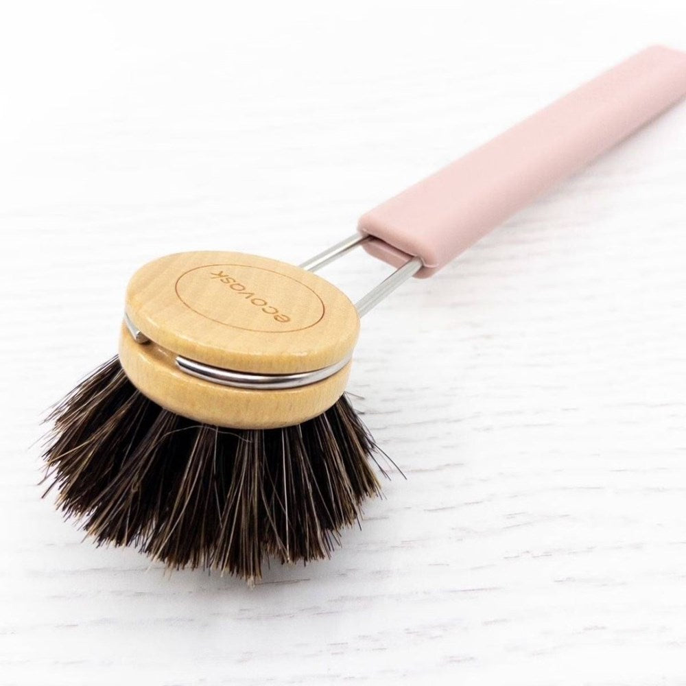 Ecovask Dish Brush with Horse Hair Brush Head - 3 Colours
