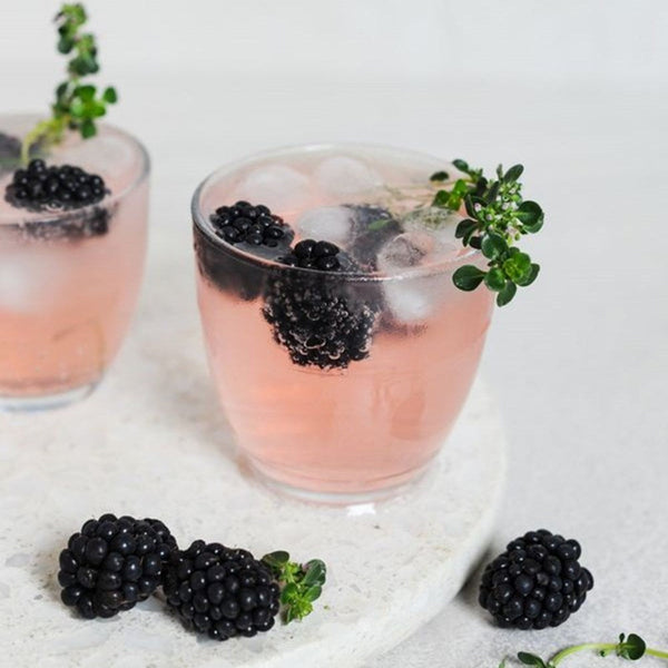 Duralex Gigogne Clear Tumbler 160ml - Set of 6 Duralex