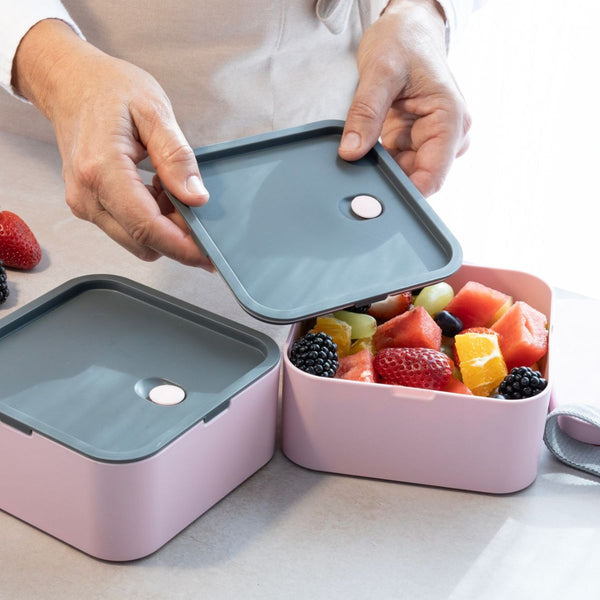 Cuisena RPET Square Bento Box - 2 layer Cuisena