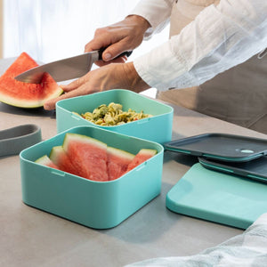 Cuisena RPET Square Bento Box - 2 layer Cuisena
