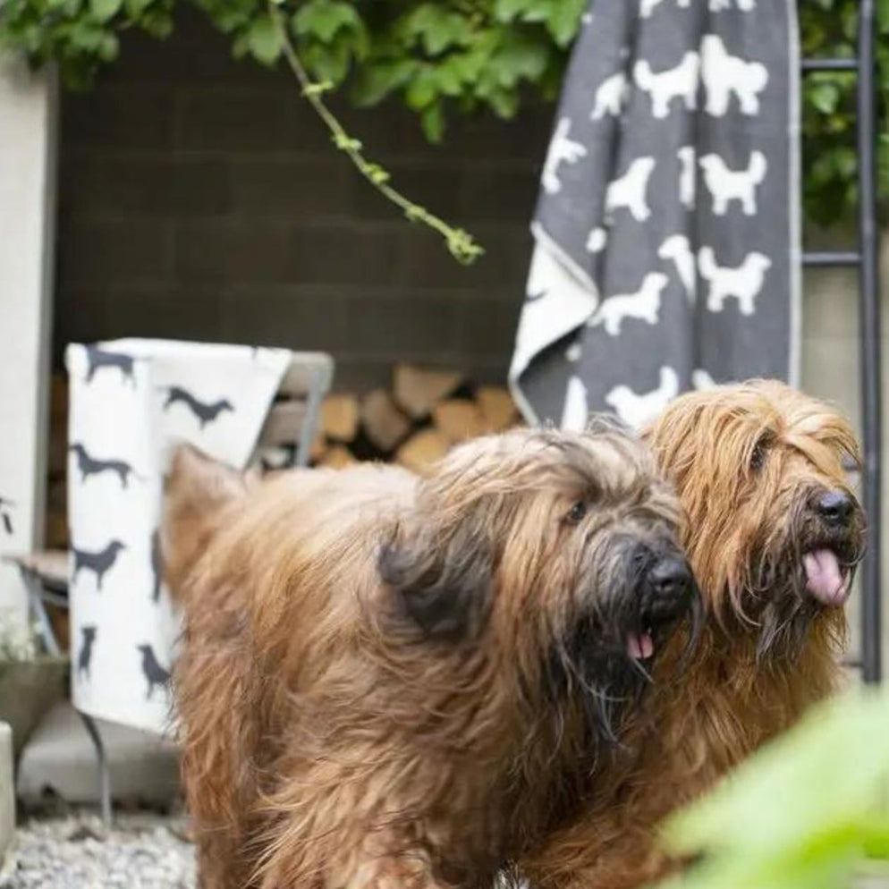 David Fussenegger Pet Blanket Dog Silhouettes in Charcoal 100 x 140c