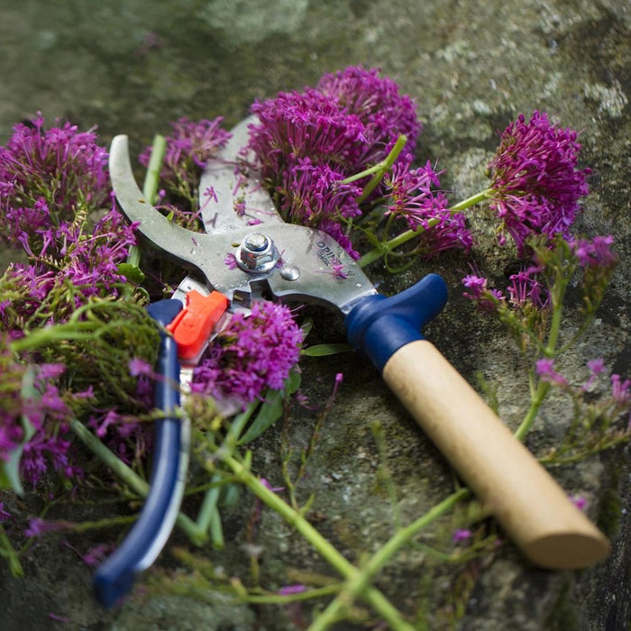 Opinel Gardening Shears - Blue