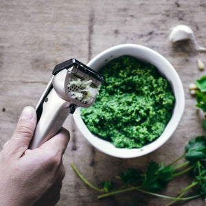 Dreamfarm Garject Garlic Press Dreamfarm