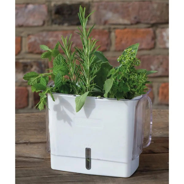 Cole & Mason Fresh Cut Herb Keeper