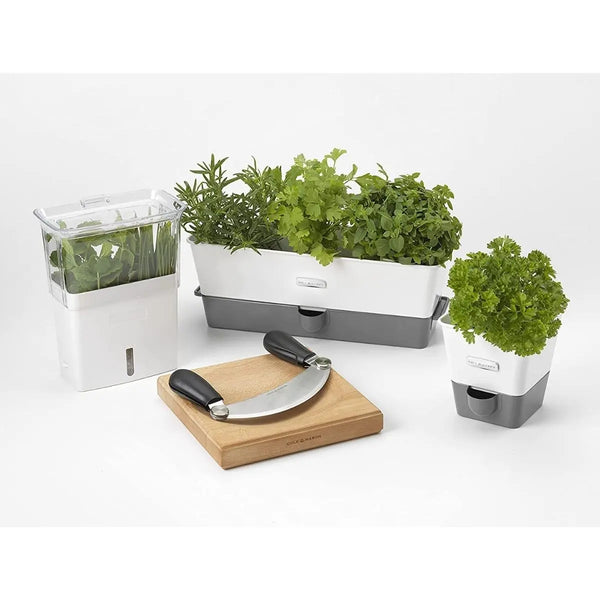 Cole & Mason Self Watering Herb Keeper Single