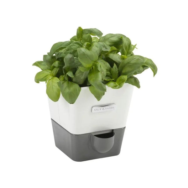 Cole & Mason Self Watering Herb Keeper Single