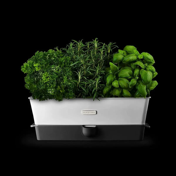 Cole & Mason Self Watering Herb Keeper Triple