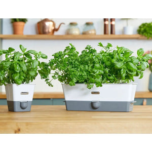 Cole & Mason Self Watering Herb Keeper Triple