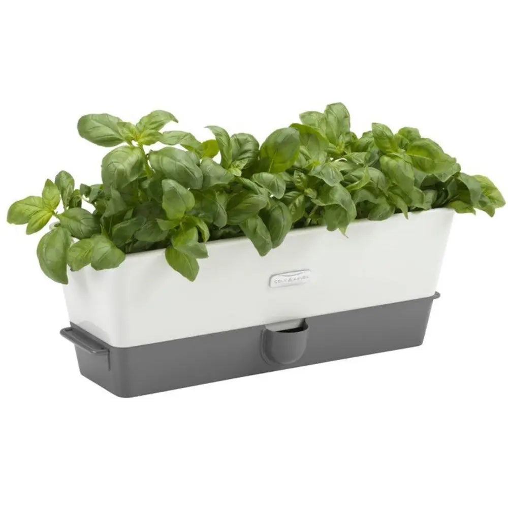 Cole & Mason Self Watering Herb Keeper Triple