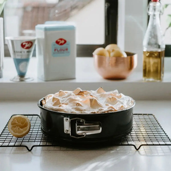 Tala Performance Springform Cake Tin - 25cm