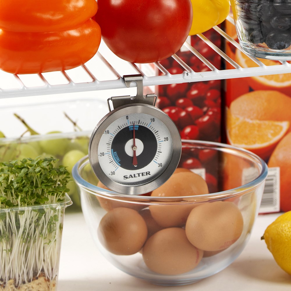 Salter Fridge & Freezer Thermometer Salter
