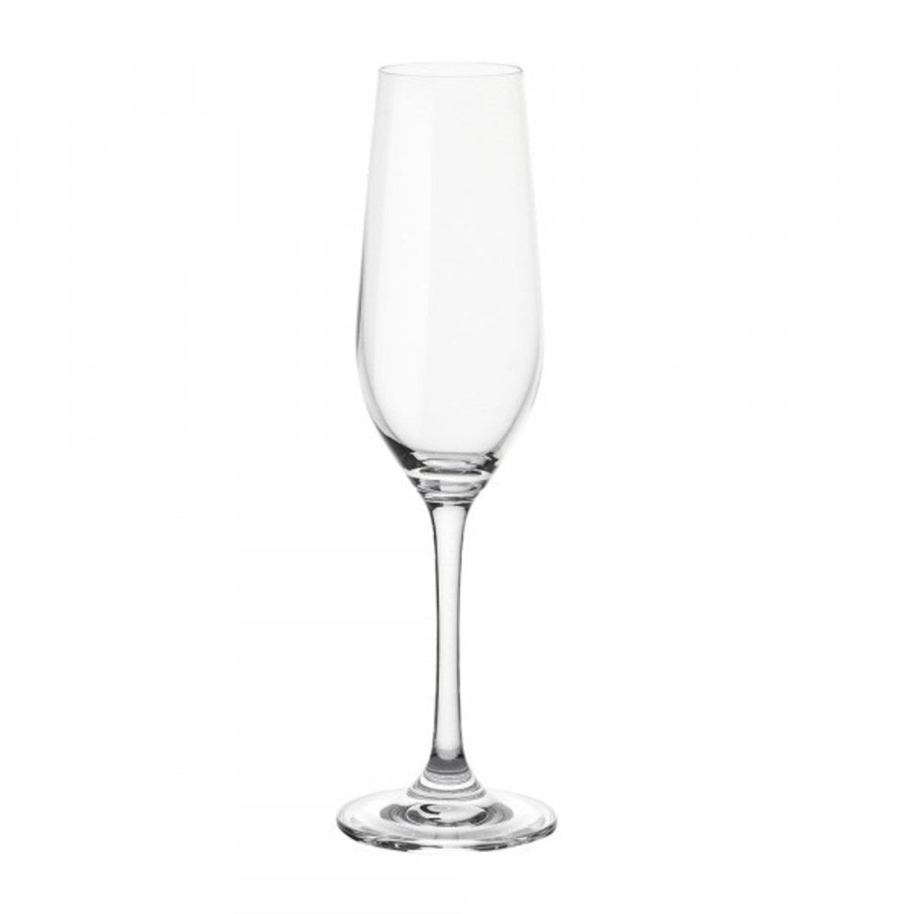 Stanley Rogers Tamar Champagne Flute Glasses - 235ml, 6 Pack Stanley Rogers