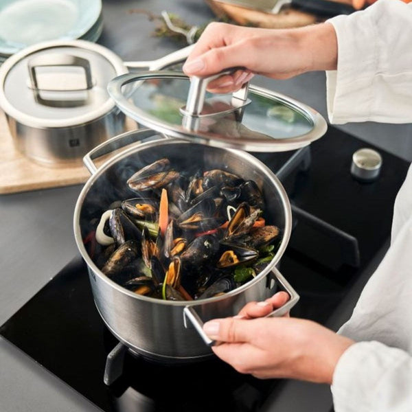 Zwilling Vitality Stainless Steel Stock Pot - 24cm High Sides Zwilling J A Henckels