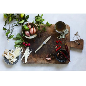 Furi PRO Paring Knife - 9cm Furi