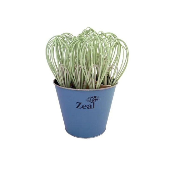 Zeal Double Headed Balloon Whisk - Neutral Green Zeal