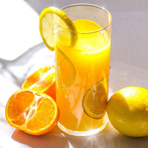 Magimix Citrus Press - 3150/3200/3200XL - Home Essentials